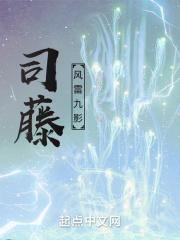 司藤：风雷九影