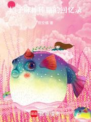 橘子味棒棒糖的回忆录