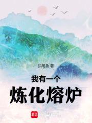 我有一个炼化熔炉